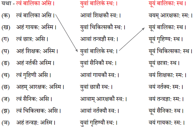 NCERT Solutions: अहं च त्वं च