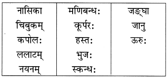 NCERT Solutions: माधवस्य प्रियम् अङ्गम्