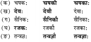 NCERT Solutions: एष: क: ? एषा का ? एतत् किम् ?