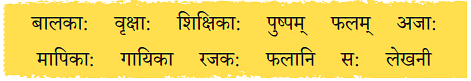 NCERT Solutions: एष: क: ? एषा का ? एतत् किम् ?