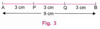 NCERT Solutions: Playing with Constructions