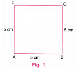 NCERT Solutions: Playing with Constructions