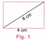 NCERT Solutions: Playing with Constructions