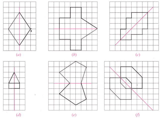 NCERT Solutions: Symmetry