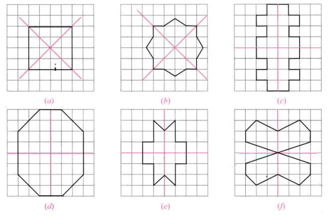 NCERT Solutions: Symmetry