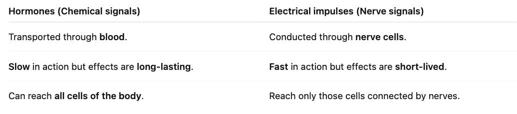 Previous Year Questions 2025