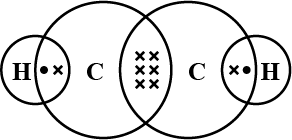 Previous Year Questions 2015