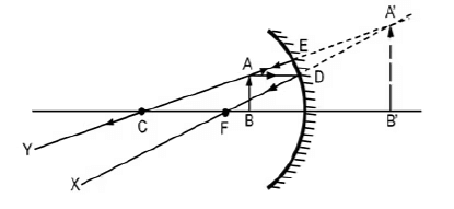 Previous Year Questions 2024