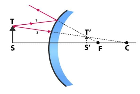 Previous Year Questions 2025