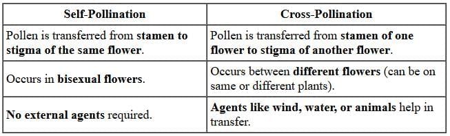 Q2: (a) (i) Write the functions of the following parts of human female reproductive system:  (5 Marks)(I) Ovary, (II) Fallopian tube, (III) Uterus. (ii) State briefly two contraceptive methods used by human males. OR (b) (i) Differentiate between self-pollination and cross-pollination. (ii) Identify A, B, and C in the diagram given below and write one function of each.