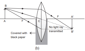 Previous Year Questions 2016