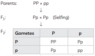 Previous Year Questions 2019