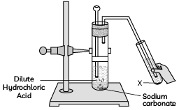 Previous Year Questions 2023