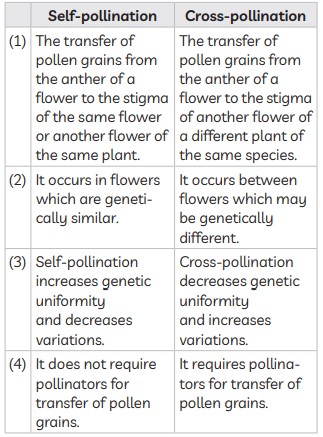 Previous Year Questions 2023