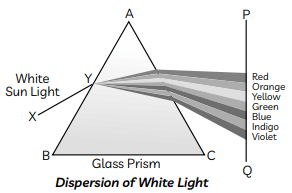 Previous Year Questions 2019