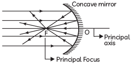 Previous Year Questions 2023