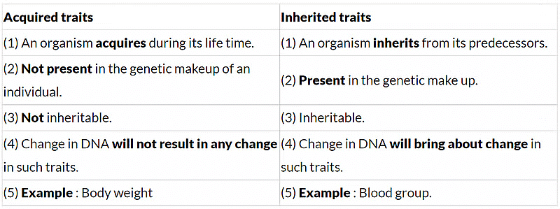 Previous Year Questions 2017