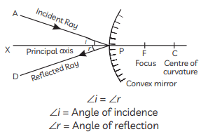 Previous Year Questions 2020