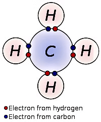 Previous Year Questions 2018