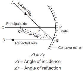 Previous Year Questions 2020
