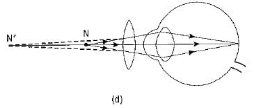 Previous Year Questions 2017