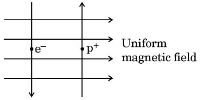 Previous Year Questions 2024