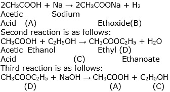 Previous Year Questions 2018