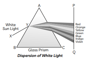 Previous Year Questions 2023