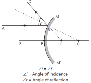 Previous Year Questions 2020