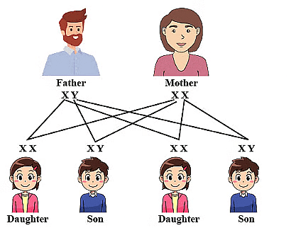 Previous Year Questions 2019
