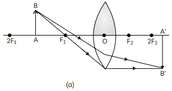 Previous Year Questions 2016