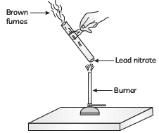 Previous Year Questions 2023