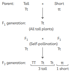 Previous Year Questions 2019