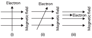 Previous Year Questions 2023