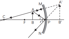 Previous Year Questions 2023