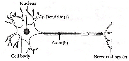 Previous Year Questions 2019
