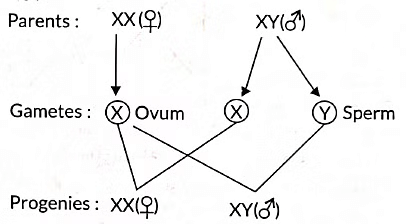 Previous Year Questions 2022