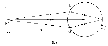 Previous Year Questions 2017
