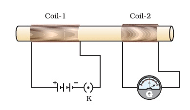 Previous Year Questions 2019