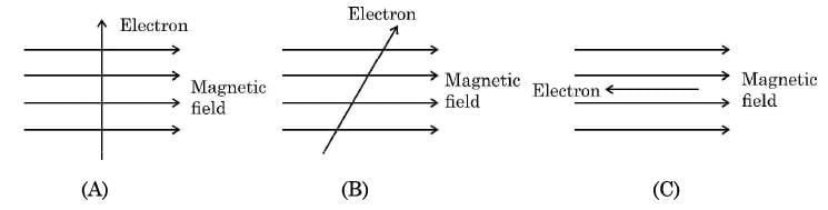Previous Year Questions 2025