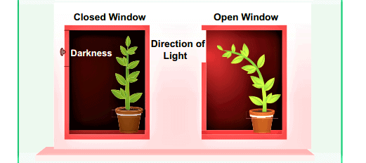 Previous Year Questions 2016
