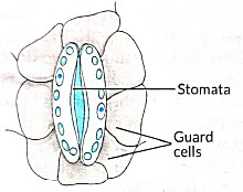 Previous Year Questions 2022