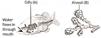 Previous Year Questions 2022