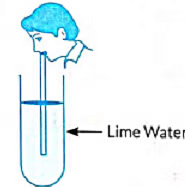 Previous Year Questions 2022