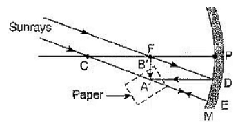 Previous Year Questions 2019
