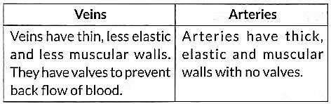 Previous Year Questions 2018