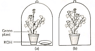 Previous Year Questions 2022