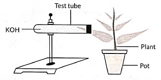 Previous Year Questions 2022