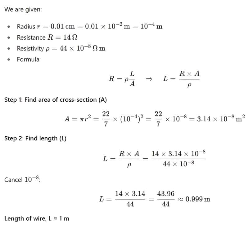 Previous Year Questions 2025