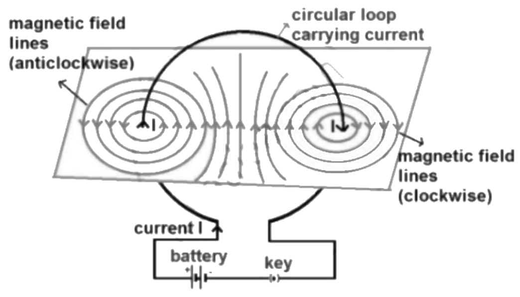 Previous Year Questions 2025